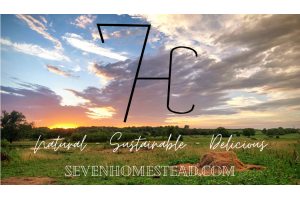 Photo of 700th Homestead Company Photo of 700th Homestead Company